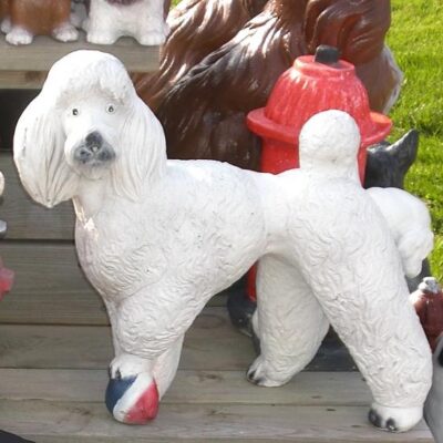 Standing poodle 13''h.
