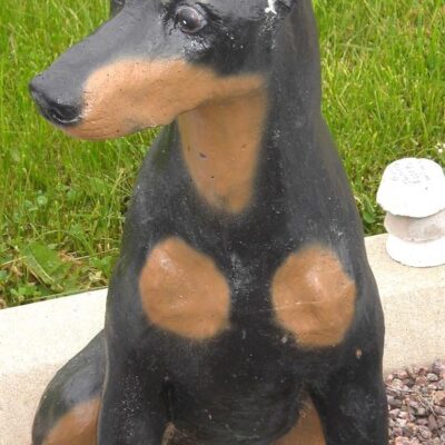 Sitting doberman 30''h.