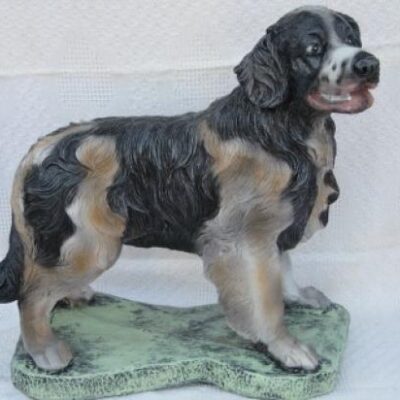 English Water Spaniel 23"h.