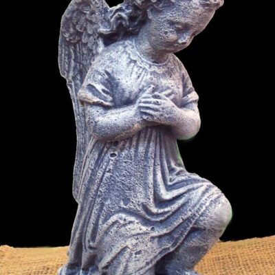 Angel wings 12''h
