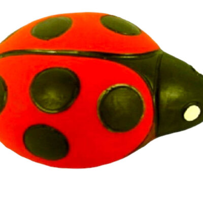 Lady Bug 6 x 5