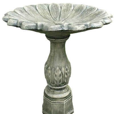 Gerbera Bird Bath