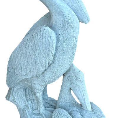 Two Pelicans on Stump Tall