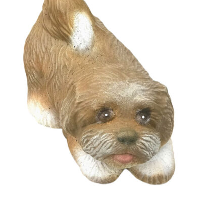 Lying Shih-tzu 7"l.