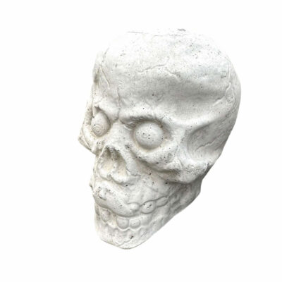 Skull No nose