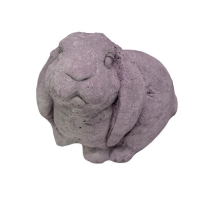 Bunny Floppy Ears 4h