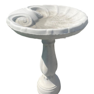Shell Birdbath