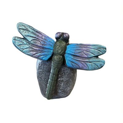 Dragon Fly on Rock 9