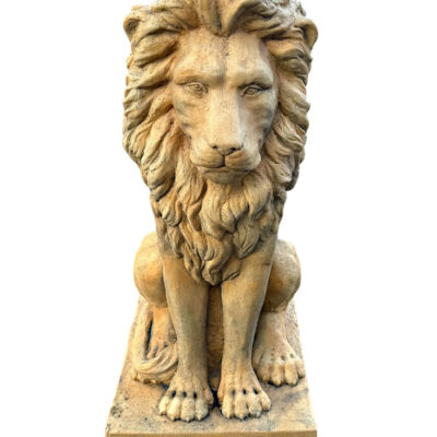 Lion Sitting with Paws 33