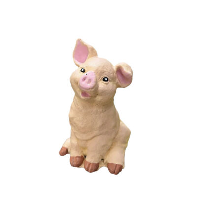 Pig Tiny 4h