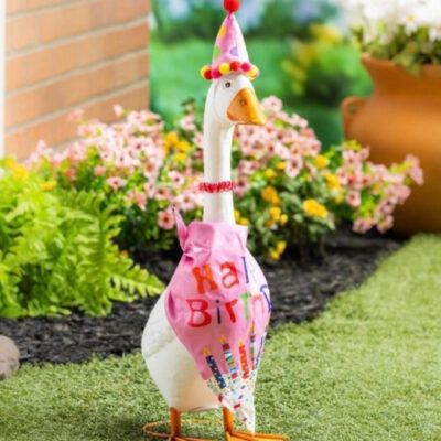 Porch Goose Outfit -Birthday Girl