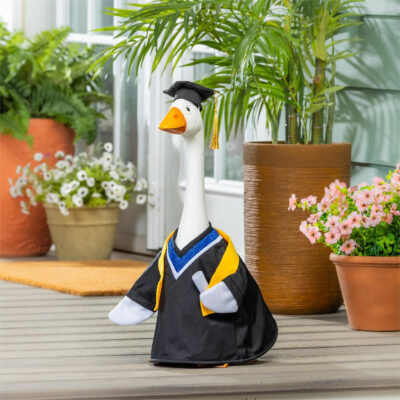 Porch Goose Outfit -Graduation