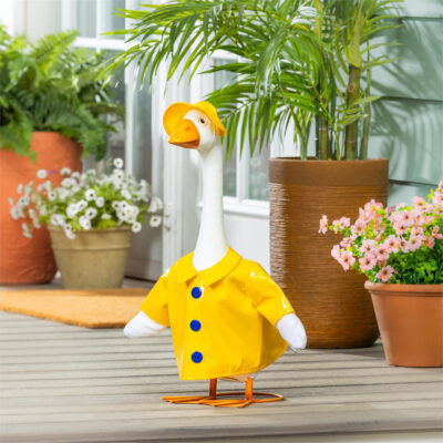Porch Goose Outfit -Rain Coat