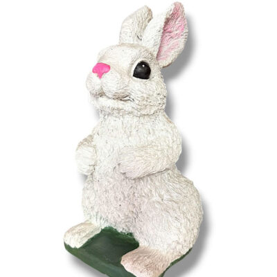 Rabbit Hind Legs
