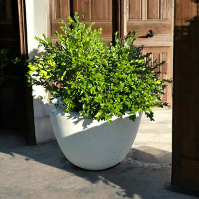 Smooth Planter 18D X 12H