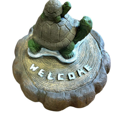 Turtles Welcome on Stump 14_w